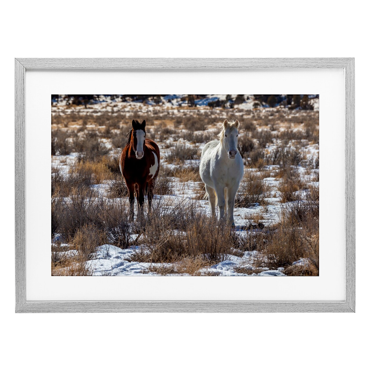 Stupell Industries Arches Horse Pair in Snow Framed Print Under Glass, design by Jeff Poe Photography